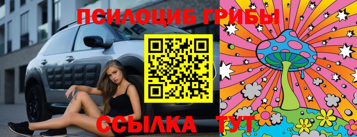 Галлюциногенные грибы MAGIC MUSHROOMS Губкинский