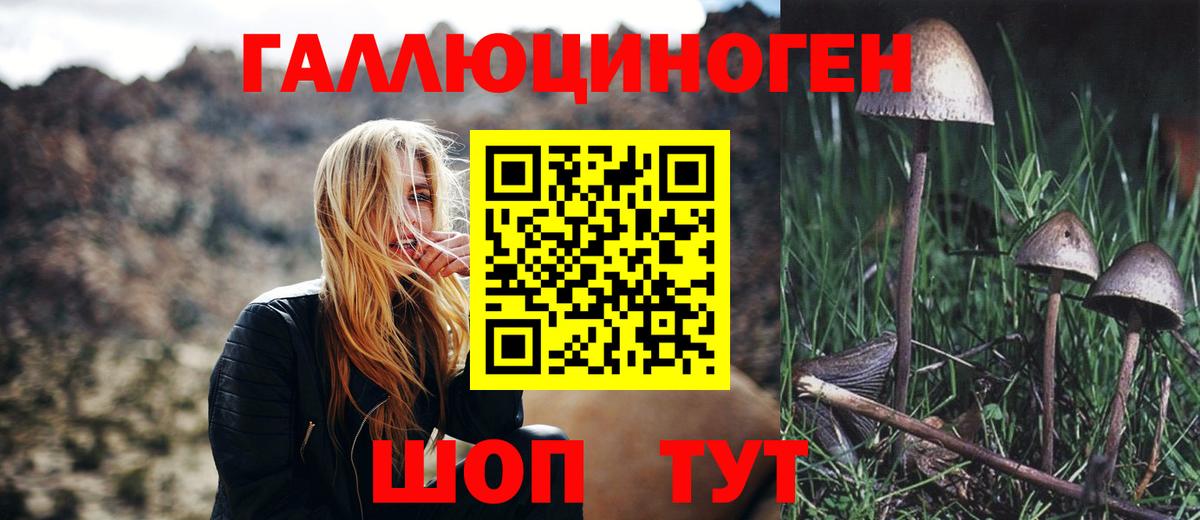 Псилоцибиновые грибы мицелий  Вход с VPN  Губкинский 